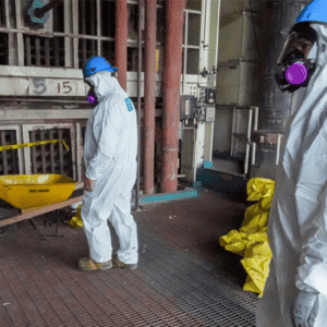 Asbestos abatement and remediation