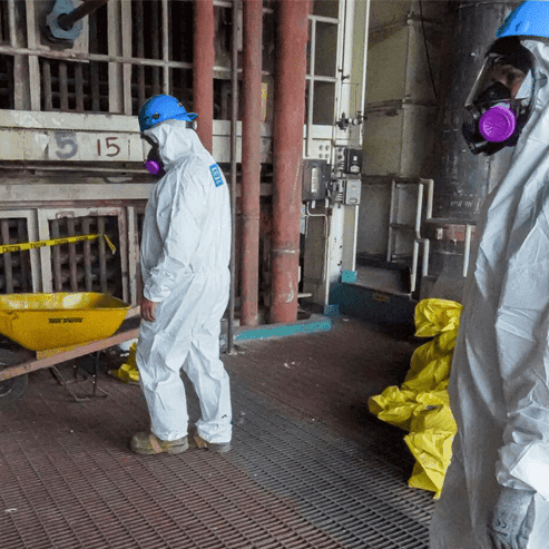 Asbestos abatement and remediation